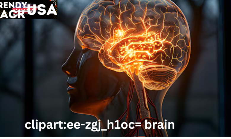 clipart:ee-zgj_h1oc= brain