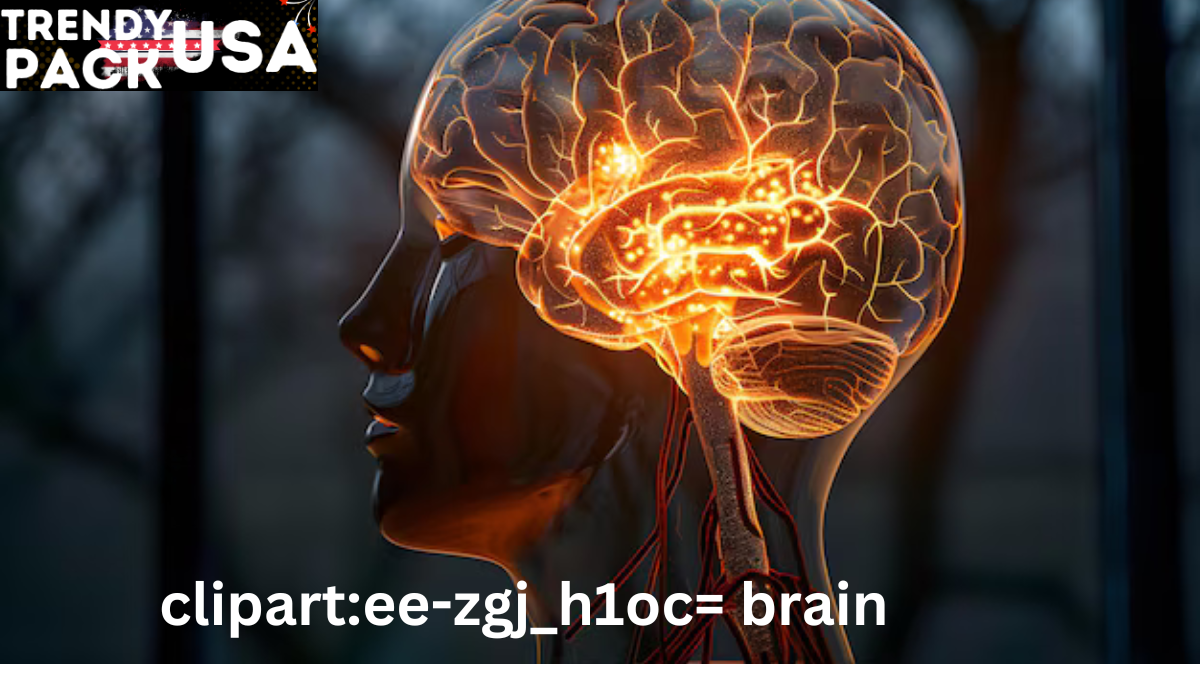 clipart:ee-zgj_h1oc= brain