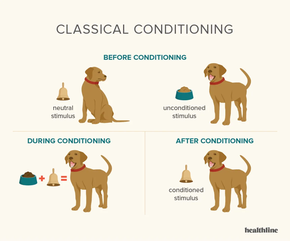 classical conditioning examples